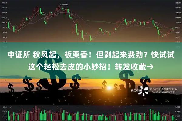 中证所 秋风起，板栗香！但剥起来费劲？快试试这个轻松去皮的小妙招！转发收藏→