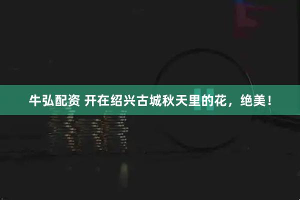牛弘配资 开在绍兴古城秋天里的花，绝美！