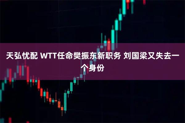 天弘忧配 WTT任命樊振东新职务 刘国梁又失去一个身份