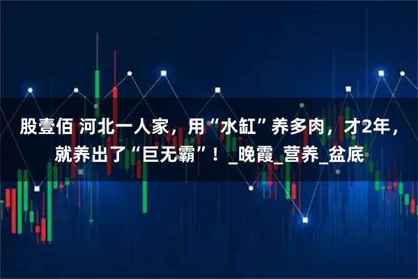 股壹佰 河北一人家，用“水缸”养多肉，才2年，就养出了“巨无霸”！_晚霞_营养_盆底