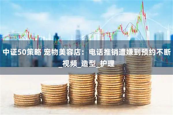 中证50策略 宠物美容店：电话推销遭嫌到预约不断_视频_造型_护理